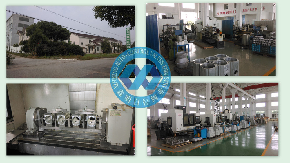 DA or SA rack and pinion pneumatic rotary actuator control for ball valves