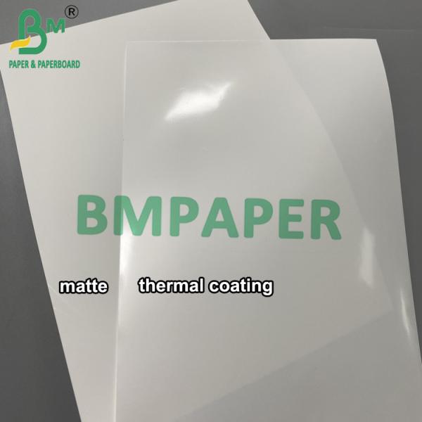 Thermal Synthetic Paper Jumbo Roll 1090mm*8000m Tear-Resistant Label Paper