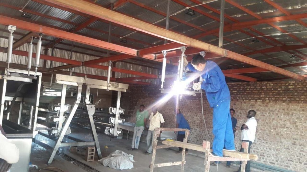Poultry Automatic Slaughtering Machine 500-1000 BPH Chicken Slaughtering Line