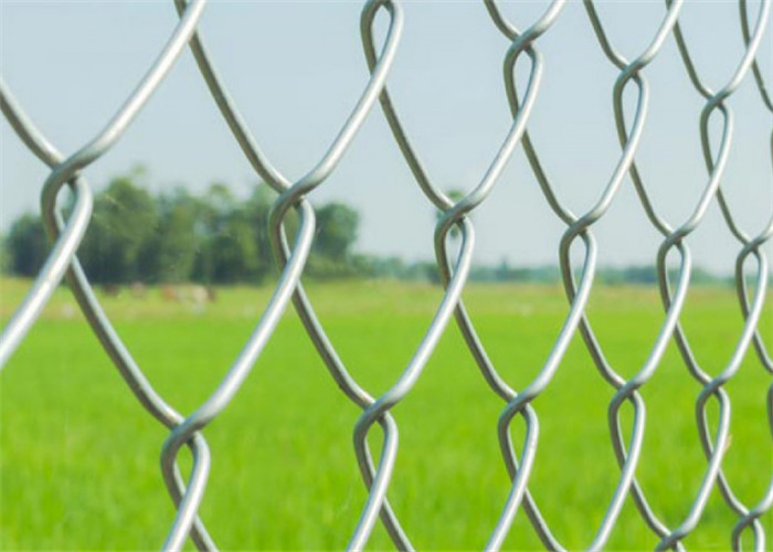6ft 3mm Hot Dipped Galvanized Chain Link Fence