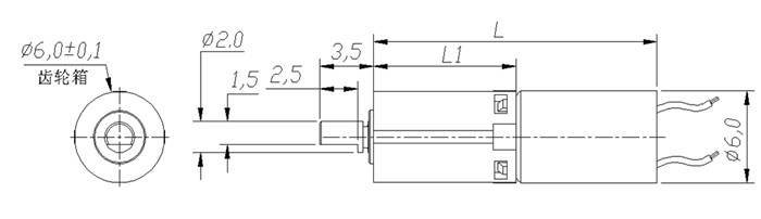 Ratio 700 Small DC Gear Motor 6mm With Planetary Gearbox For Sweeping Robot