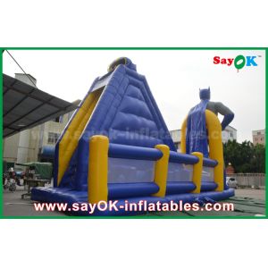 Customizable 8m Inflatable Bouncer Slide with Attractive Appearance and