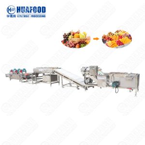 Multifunctional Fruit And Vegetable Processing Line Bubble Cleaning Machine
