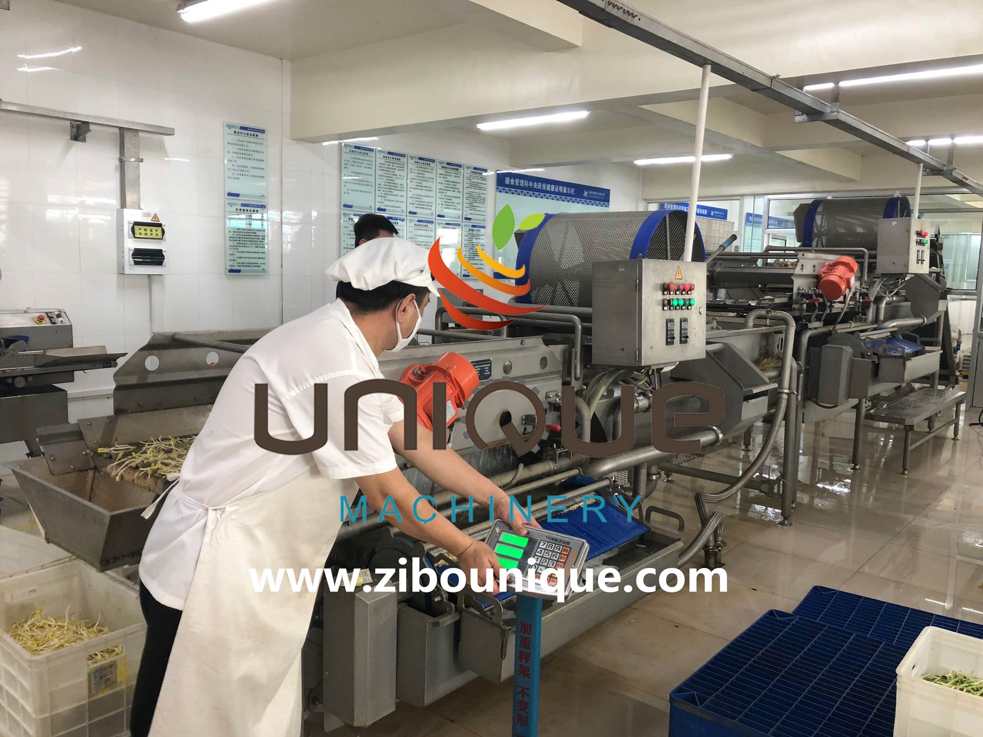Industrial Stainless Steel 304 Juice Extractor for Fresh Citrus Lemon Orange Processing
