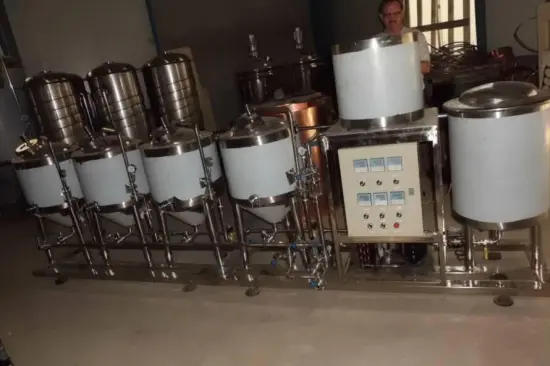 50L Home Brewing Equipment Suitable for Alcohol Processing Types Stainless Steel 304