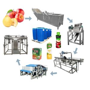 CE Certified Apple Juice Processing Line with HPP UHP Technology