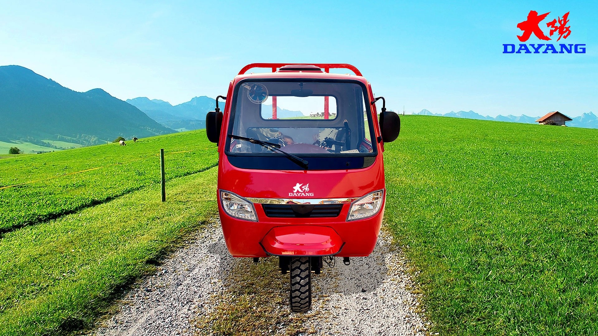 10-20L Fuel Tank Capacity 125cc Tricycle with Gasoline Transmission and 5.0-12 Tire Size