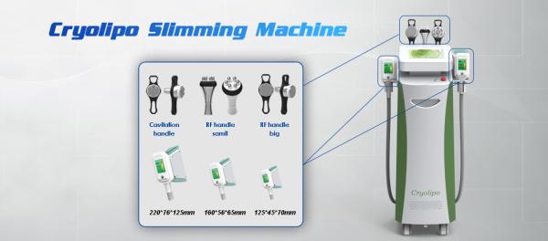 CE approved high quality hot sale Cryolipolysis fat freeze slimming / 5 handles