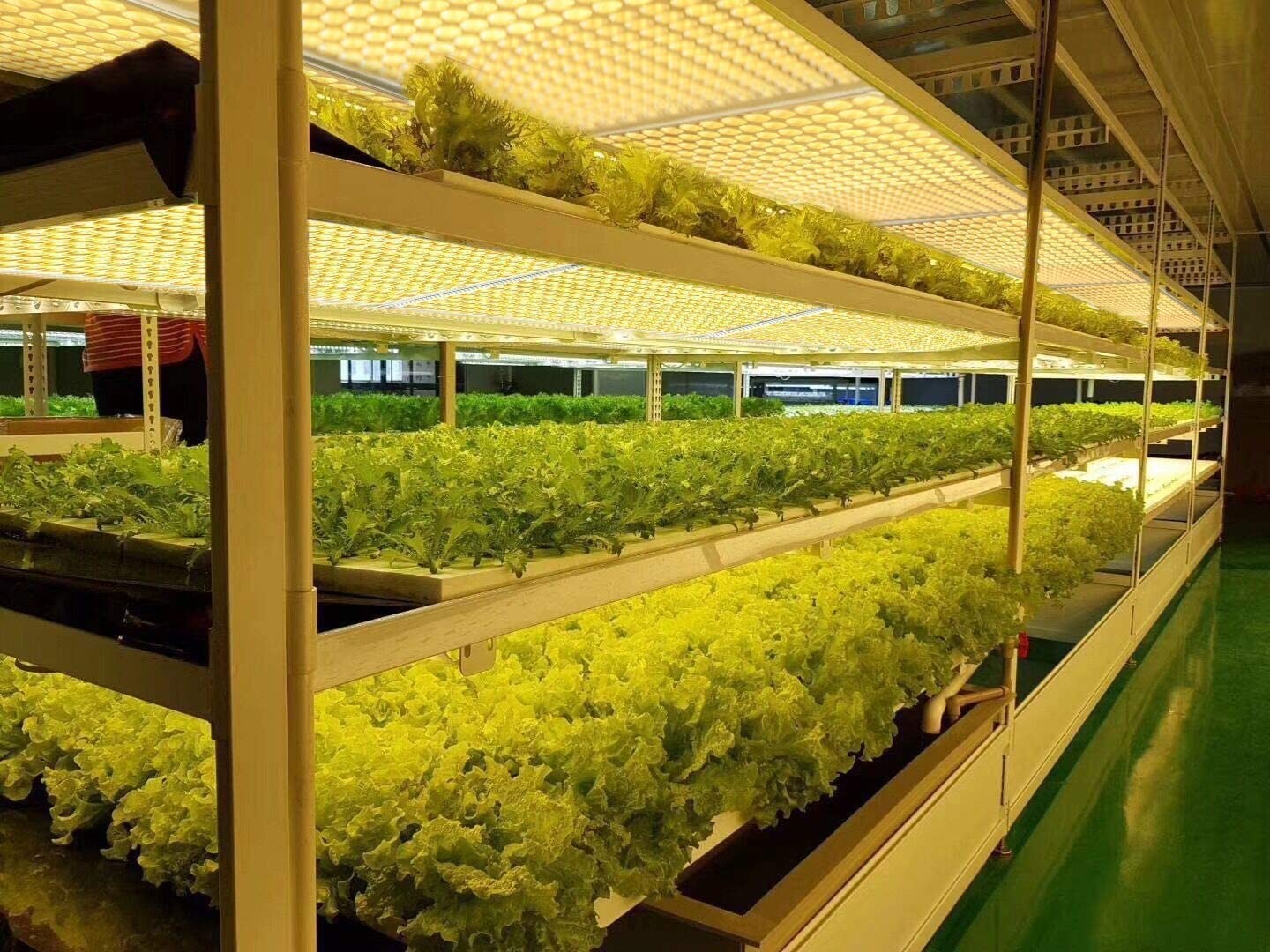 120Watt 360nm Full Spectrum LED Grow Lights For Plants