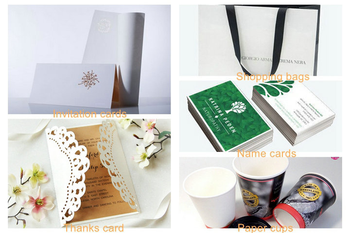 FSC One Side Coated FBB C1S Art Board for Package and Printing 210gsm to 350gsm