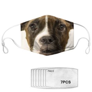  Reusable Dog Pattern Anti Pollution Printed Face Mask Manufactures