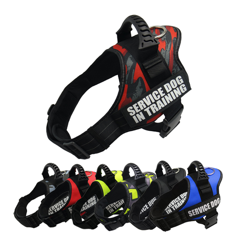 Neoprene Collar Leash Harness Set Moisture Resistant Reversible Dog Harness