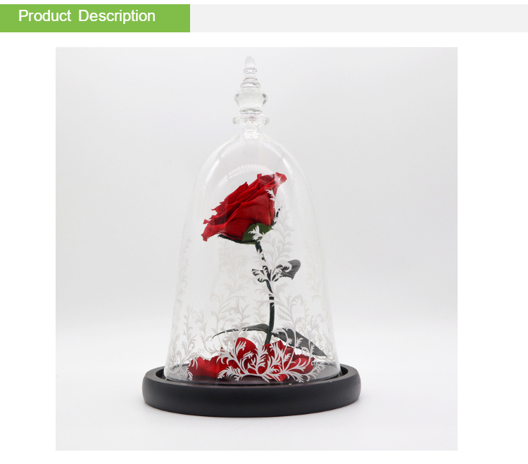Customized Color Preserved Rose Glass Dome Beauty And The Beast