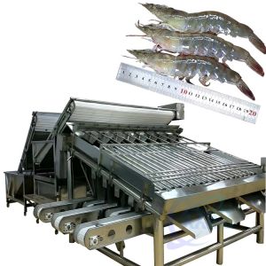  Seafood and shrimp grading processing machine, shrimp and fish sorting machine, crayfish and shrimp grading machine Manufactures