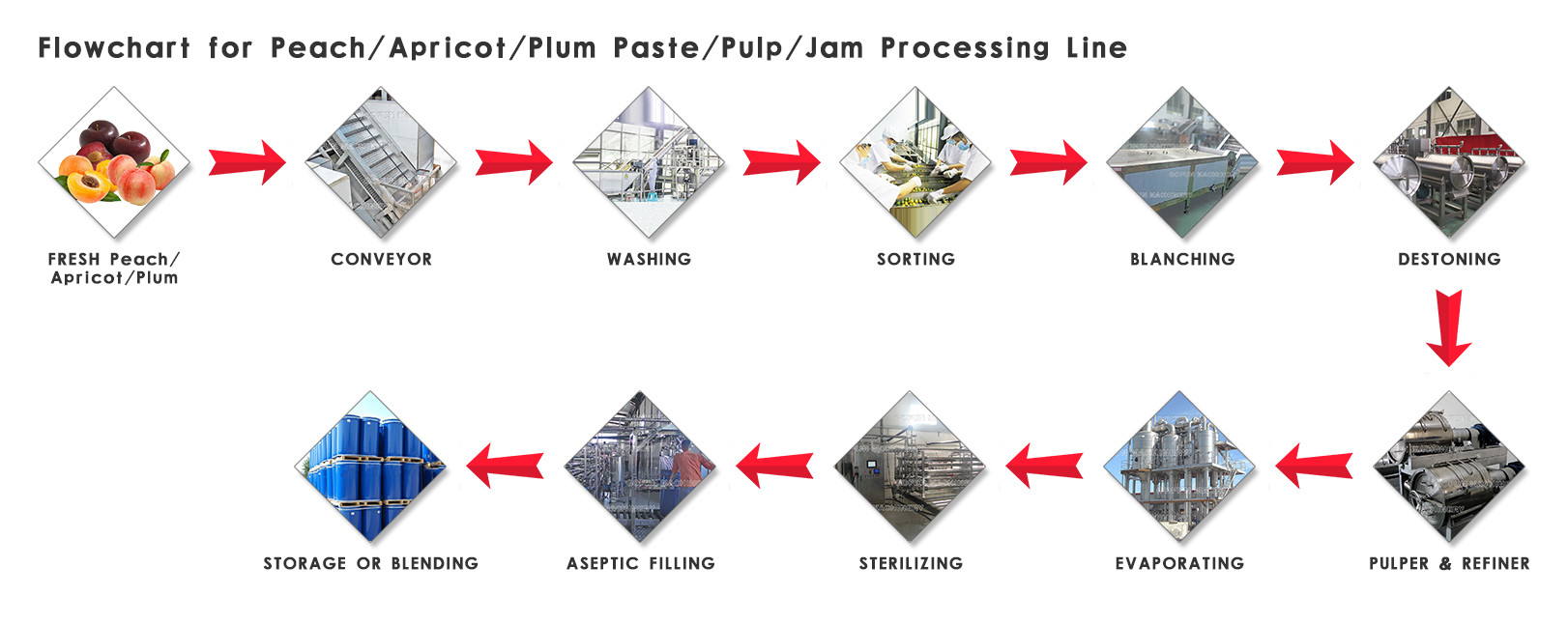 SS 304 380V 220V Fruit Juice 5 T/Day Peach Processing Plant