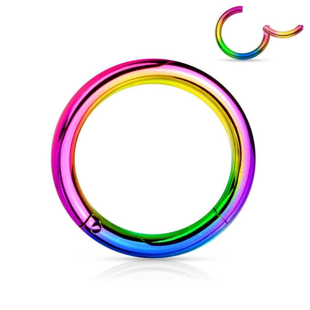 Titanium Hinged Segment Cliker Nose Ring Nose Hoop Ring Ear Tragus Cartilage Body Jewelry