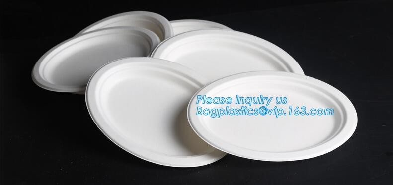 Meal Prep Containers Free Sample Bento Lunch Box Biodegradable Food Container Plastic Wheat Straw Lunch Box bagplastics