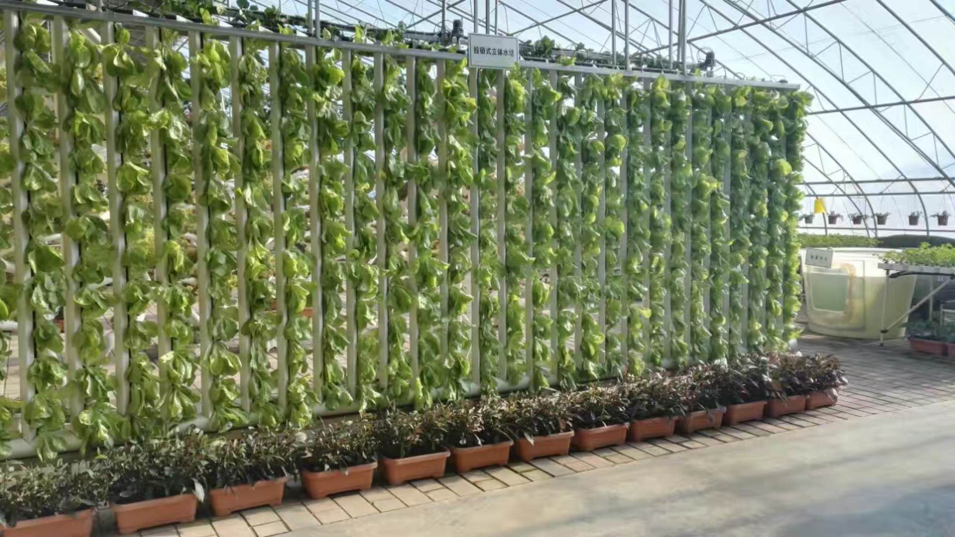 Family Spiral Plant Grow Hydroponic Tower Indoor Vegetable Cultivation Hydroponic