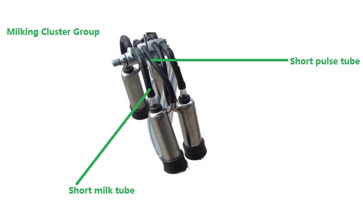 HL-MP37 Short Rubber Milking Tube Perfect Solution for Milking With 0.4-0.5MPa