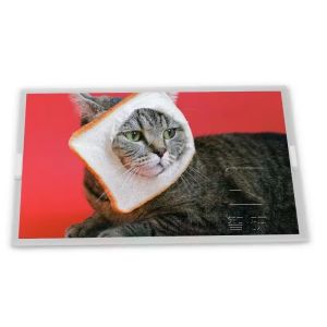  M238HVN01.3 23.8-Inch IPS WLED TFT-LCD Screen Panel with LVDS Interface 1920*1080 Resolution LCD Display Manufactures