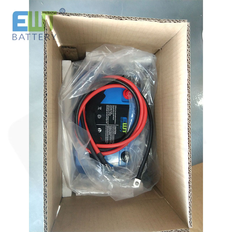 UPS 12.8V Lithium Iron Phosphate Battery Pack 12V 10Ah LiFePO4 Battery