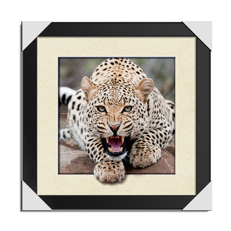 CMYK 3D Lenticular Pictures With MDF Frame Cat Design Decorative Printing