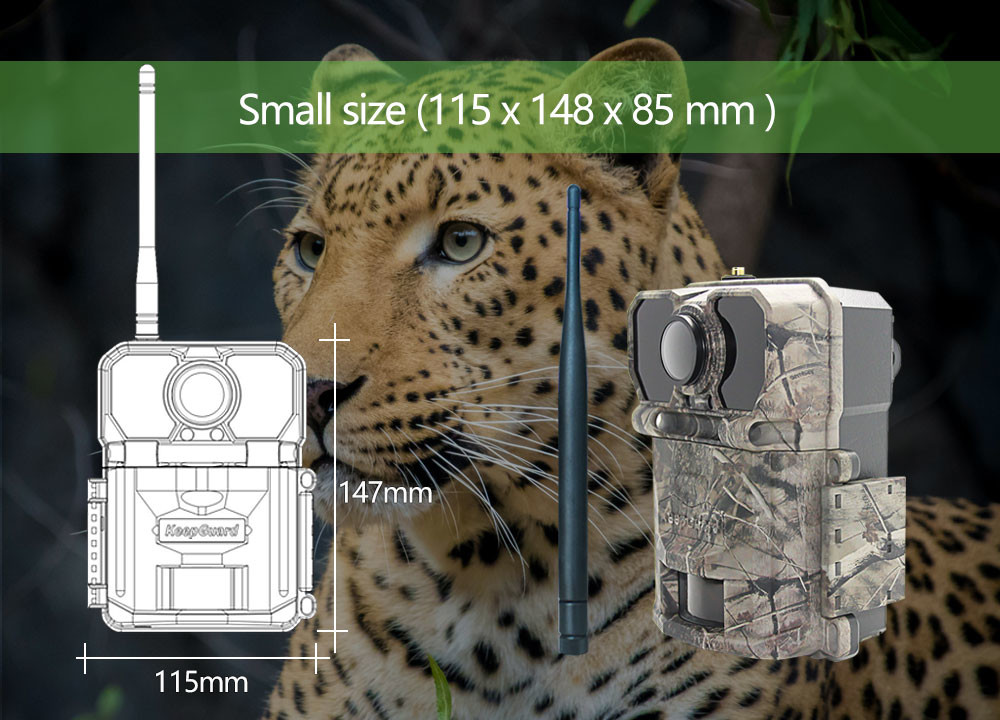 Infrared Digital 4G Trail Camera For Animal Monitoring IP67 Waterproof