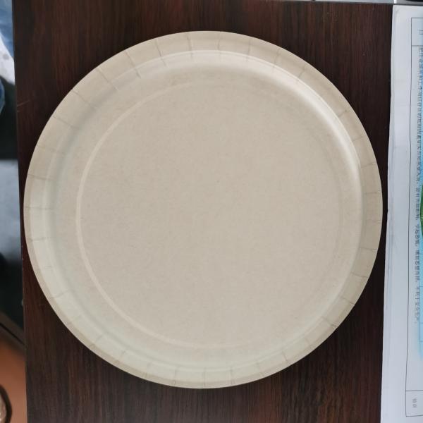 Paper Plate Machine different shape colorful paper cup plate different material