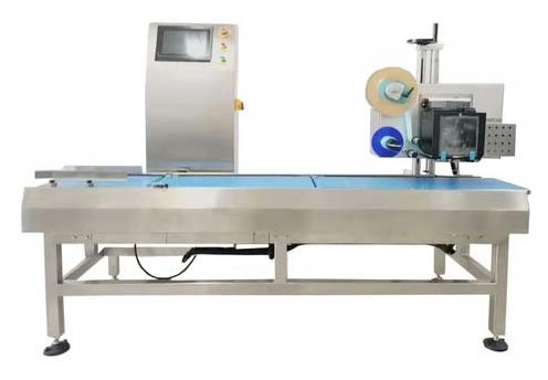 Rice Brick Film Packaging Machine 1100Kg Bubble Film Warehouse