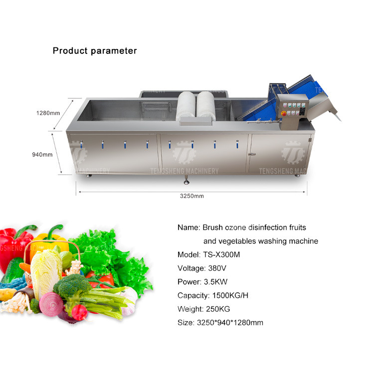 250KG The manufacturer provides a reversible air dryer for fruit ozone disinfection and fruit washing machine
