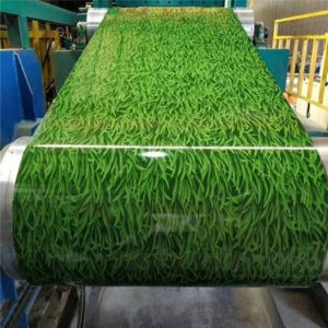 China Printed Ppgi Steel Coil Customized With Special Patterns on sale