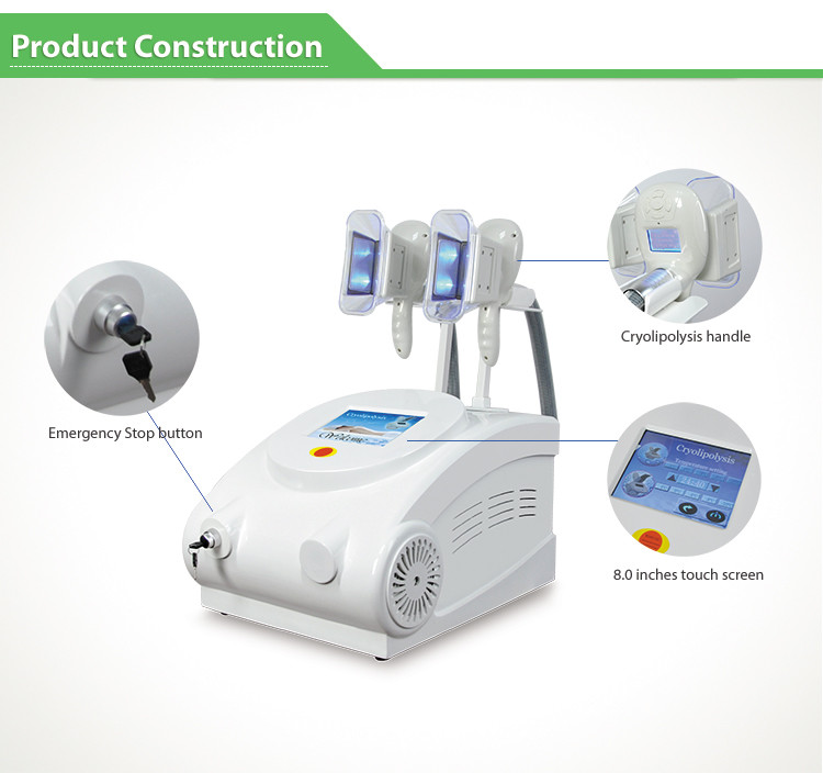 LF-217 Salon use fat reducing cryo portable slimming machine with 2 cryo handles