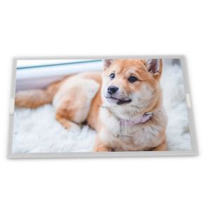 LB040Q02-TD05 Touch Screen 4.0 Inch LCD Module with 320*240 Resolution LCD