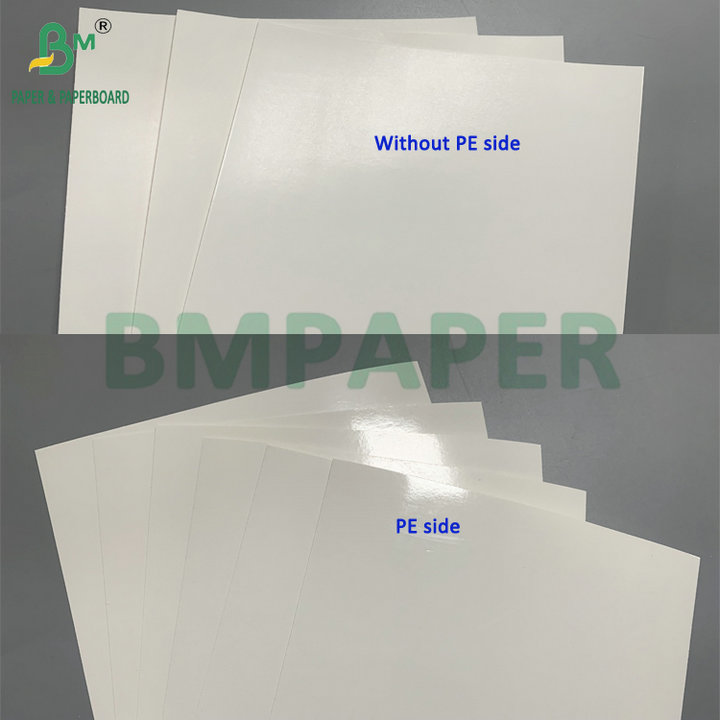260gsm + 15gsm PE Coated SBS Cardboard For Frozen Shrimp Food Packaging Box