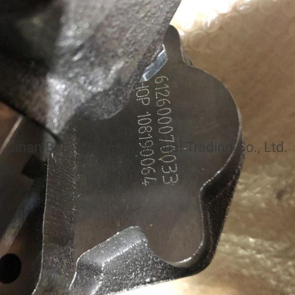 Sinotruk HOWO Deutz Tractor Oil Pump Az1500070021A Protected by Made-in-.com