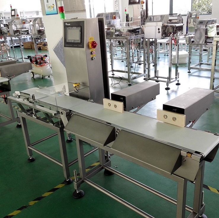 0.2g High Speed Checkweigher