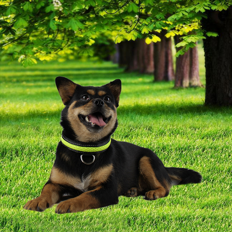 C914 Nylon LED Pet Necklace Rechargeable Flashing Dog Collar Led Usb