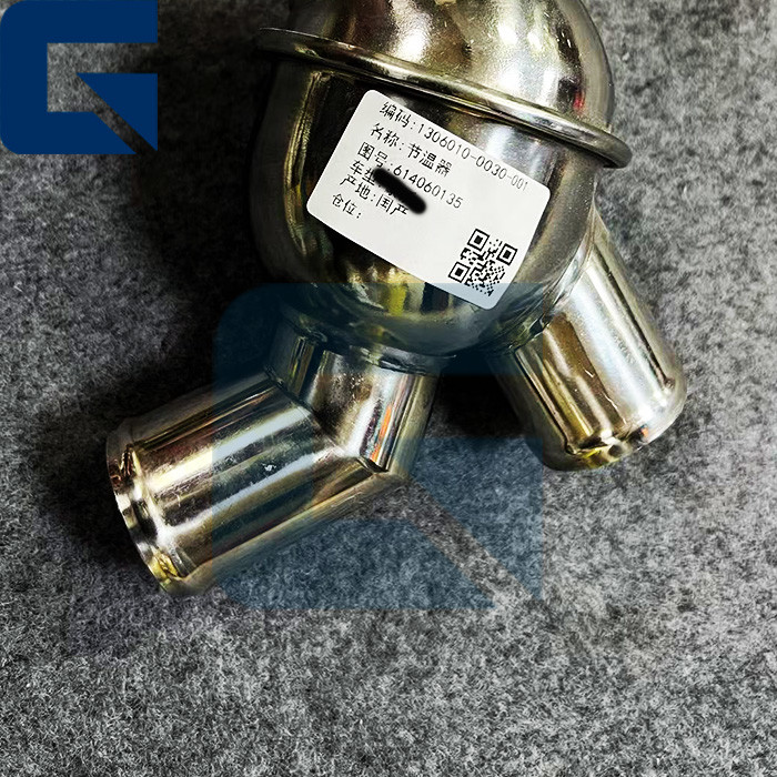 614060135 Truck Spare Parts Thermostat for Truck Parts