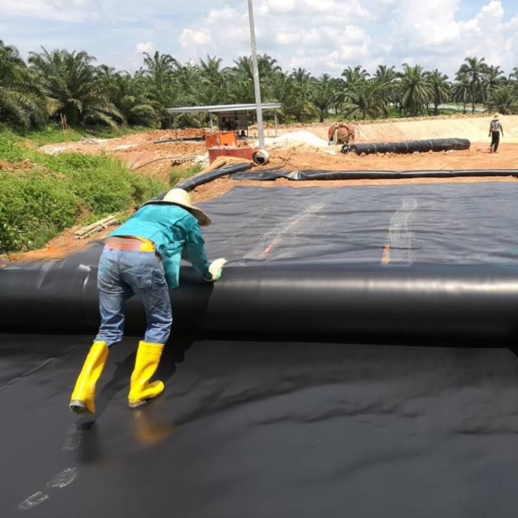 Geomembranes for Landfill Cover High Reinforcement 500 Micron HDPE Geomembrane Liner