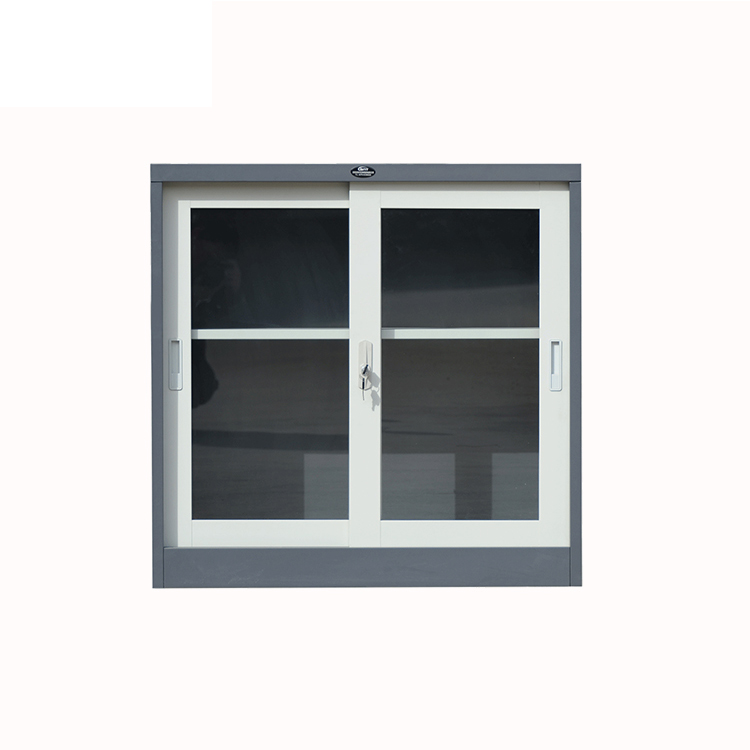 Living Room Modern Book Shelf Glass Door Filing Cabinet