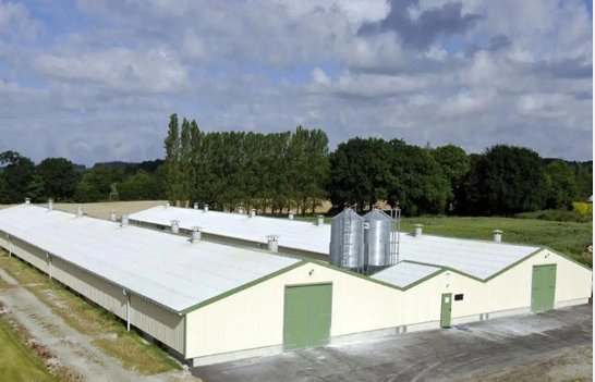 Lightweight Steel Frame House , Chicken Farm Structure Customized