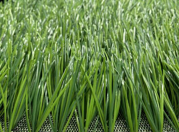 Wear Resistant Outdoor Pet Friendly Artificial Grass Football Field Plastic