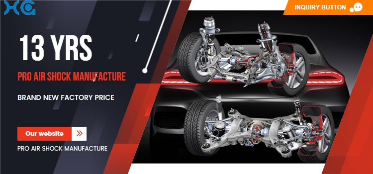 Airmatic Front Air Shock Absorbers For Mercedes Benz S-Class W221 S350 S400 S550 S600 S63 S65 2213209313 Air suspension