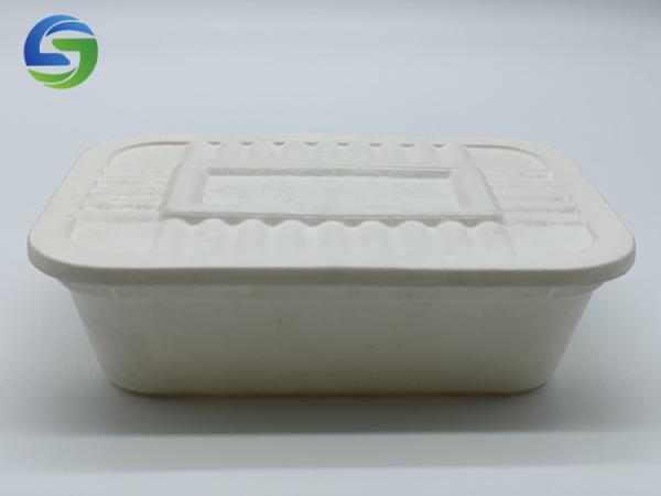 100% Compostable LFGB 17.5x12.5x4.5cm Cornstarch Bio Food Packaging