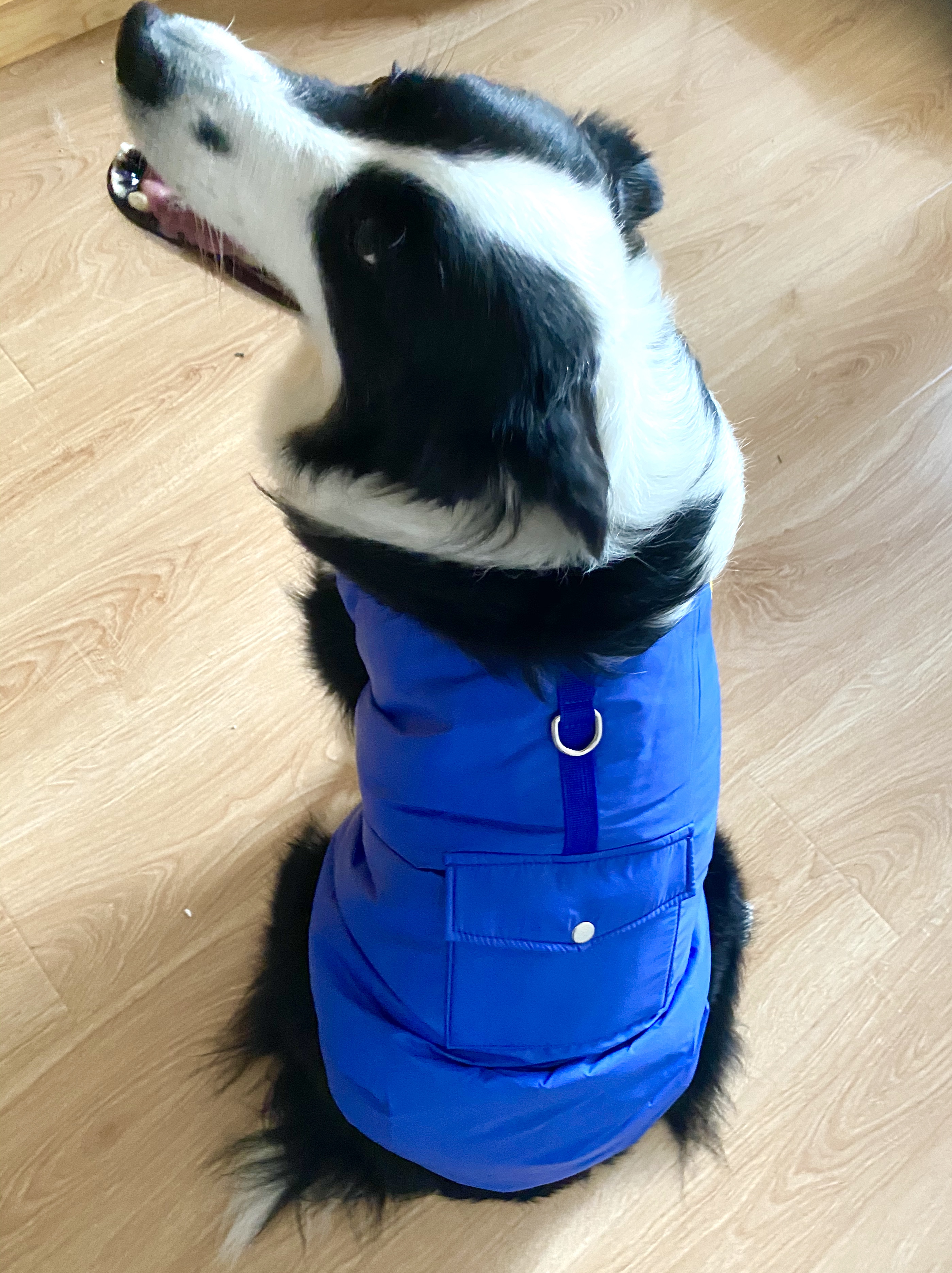 Dog Cotton Padded Jacket Winter Coat For Cat Cold Weather Coats Warm Vest For Pet Dog Clothes Outerwear