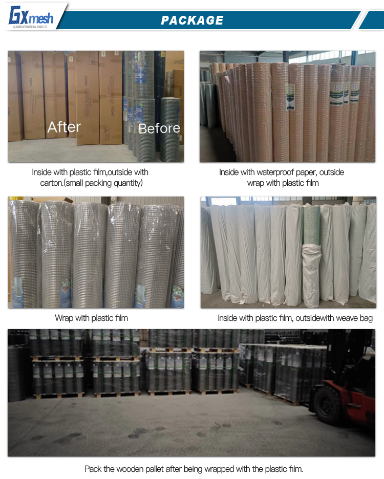Electro Galvanized Welded Wire Mesh for Concrete Reinforcing 5.5x5.5 at Competitive
