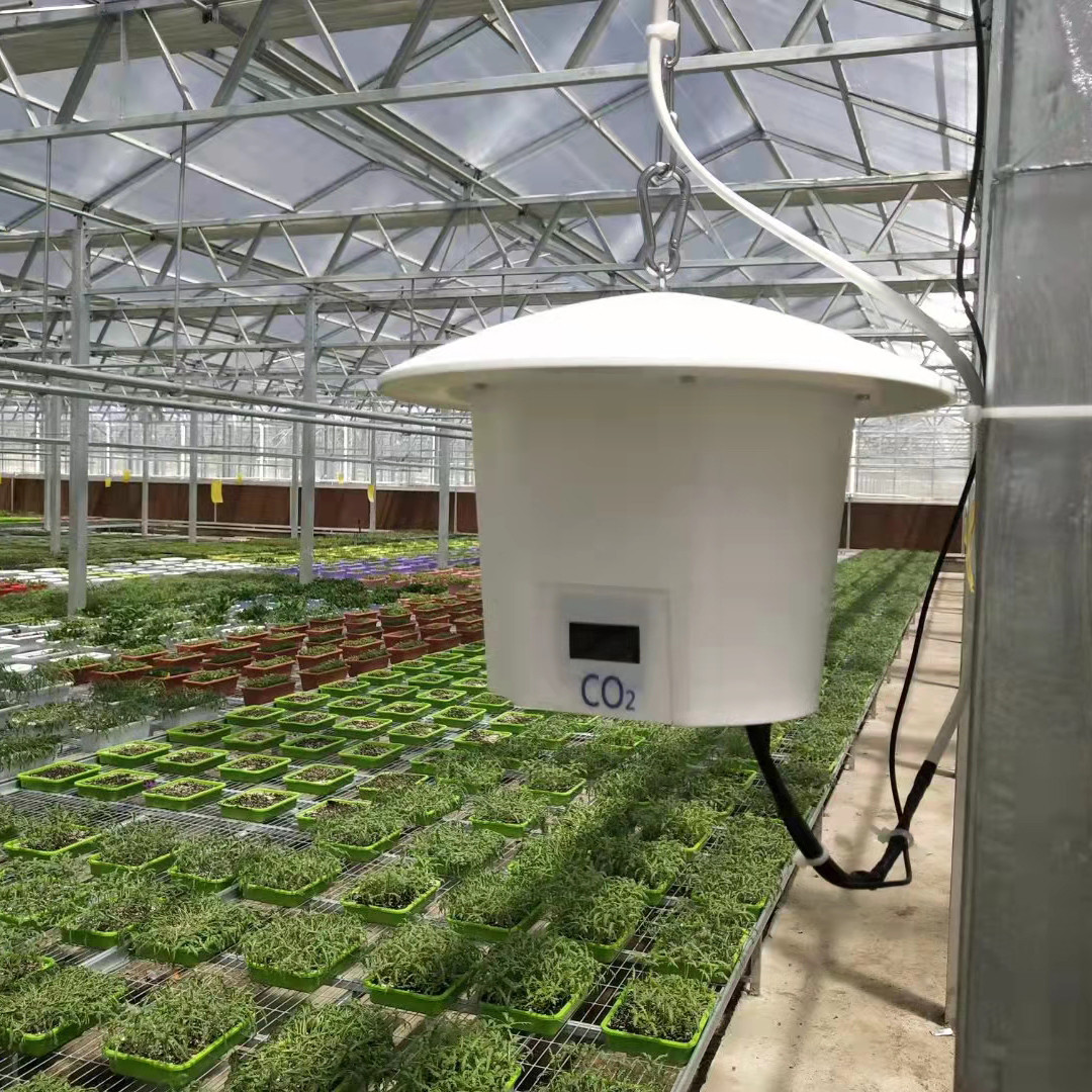 Three In One Soil Moisture Sensor Greenhouse Temperature And Humidity Monitor