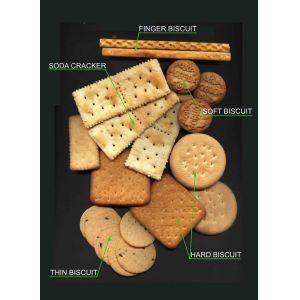 Multifunctional Automatic Biscuit Production Line 100-1500kg/H