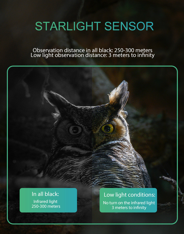 5X Zoom Real Night Vision Binoculars Hunting Digital Camera