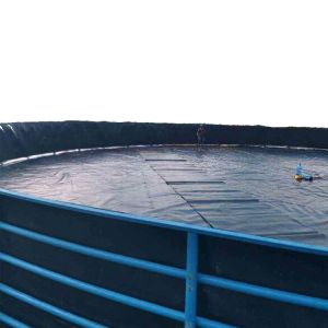 Anti-seepage HDPE Geomembrane Liner for Environmental Projects Material